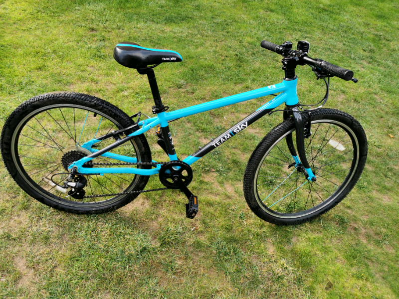 frog bike 62 sale